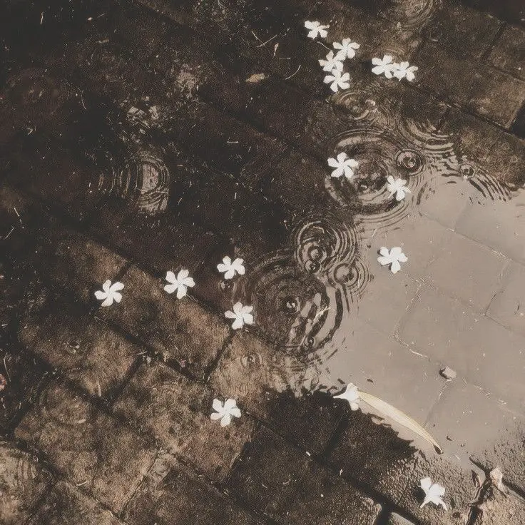 me_ae의 엑스트라는 사랑받기 싫다!