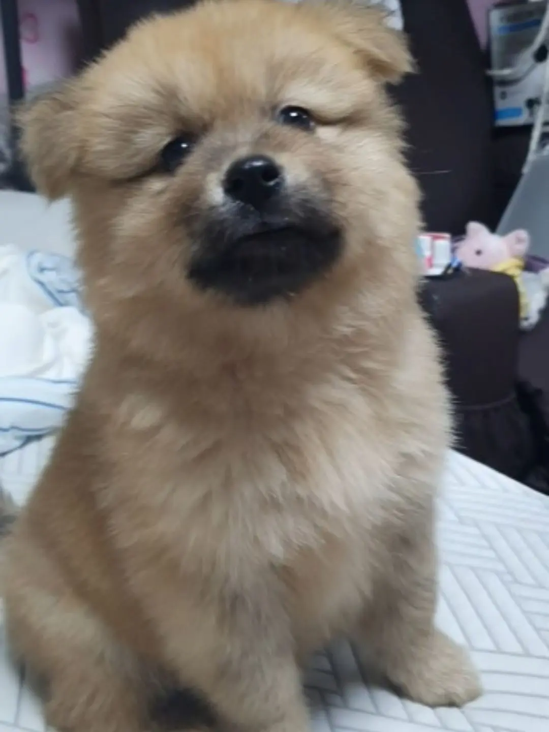MagicAwake4286의 어나더컵