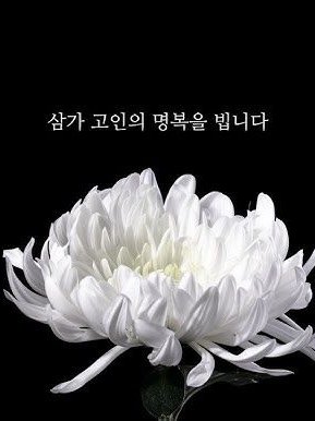 너무 늦은 추모작 대표 이미지