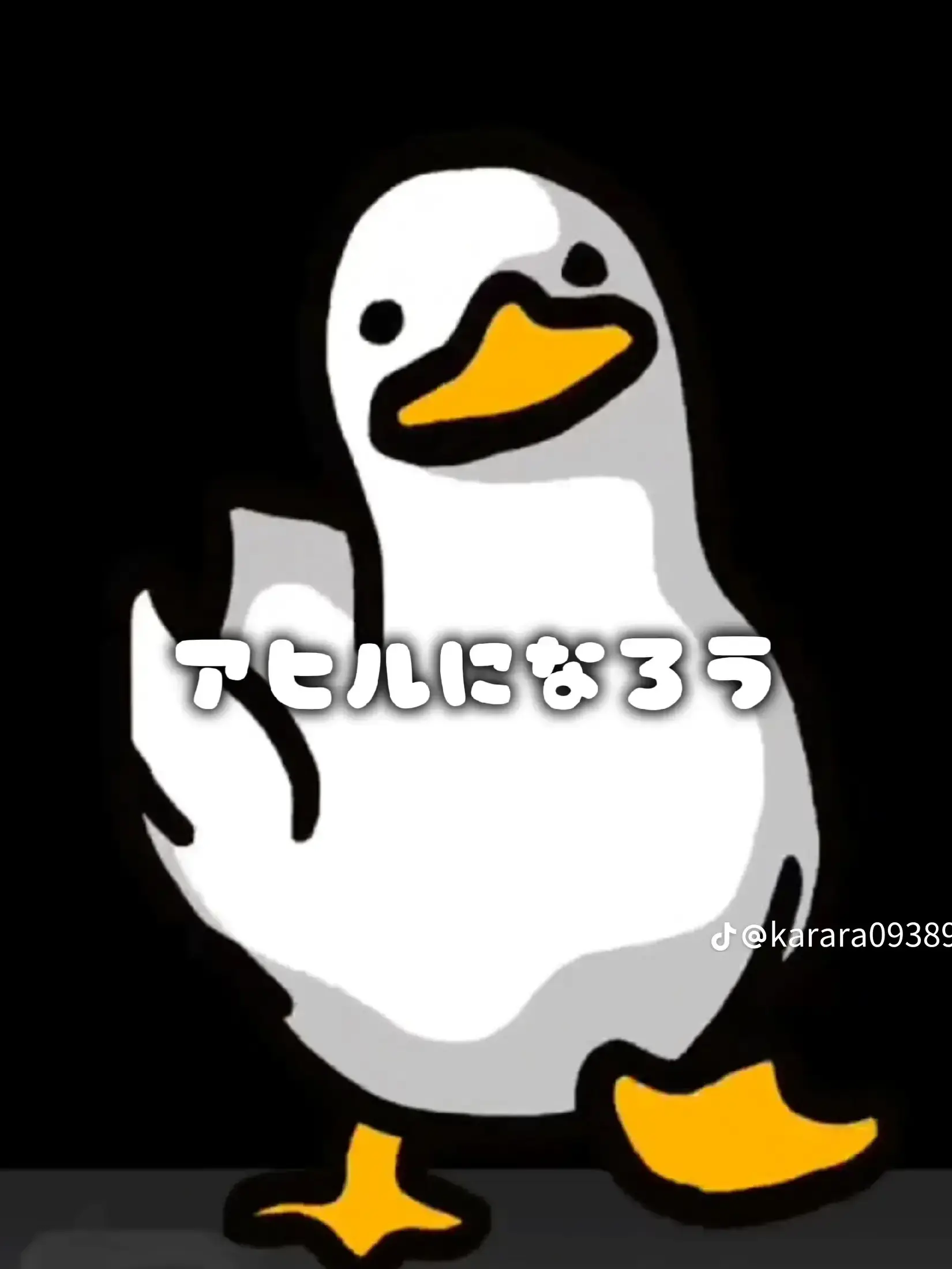 naru-0303의 ❄︎••┈┈┈┈••❄︎