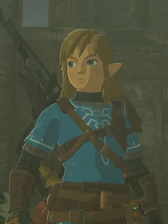 cronchywoffle의 Link—BOTW