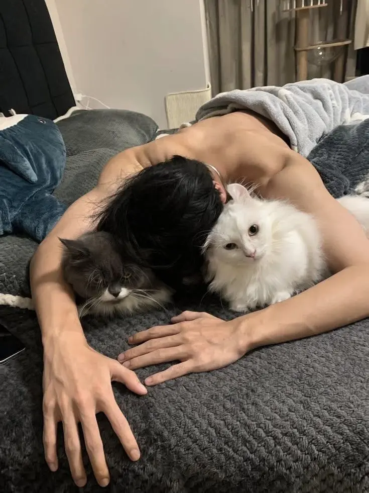 LouiseAlexander의 Fool Husband