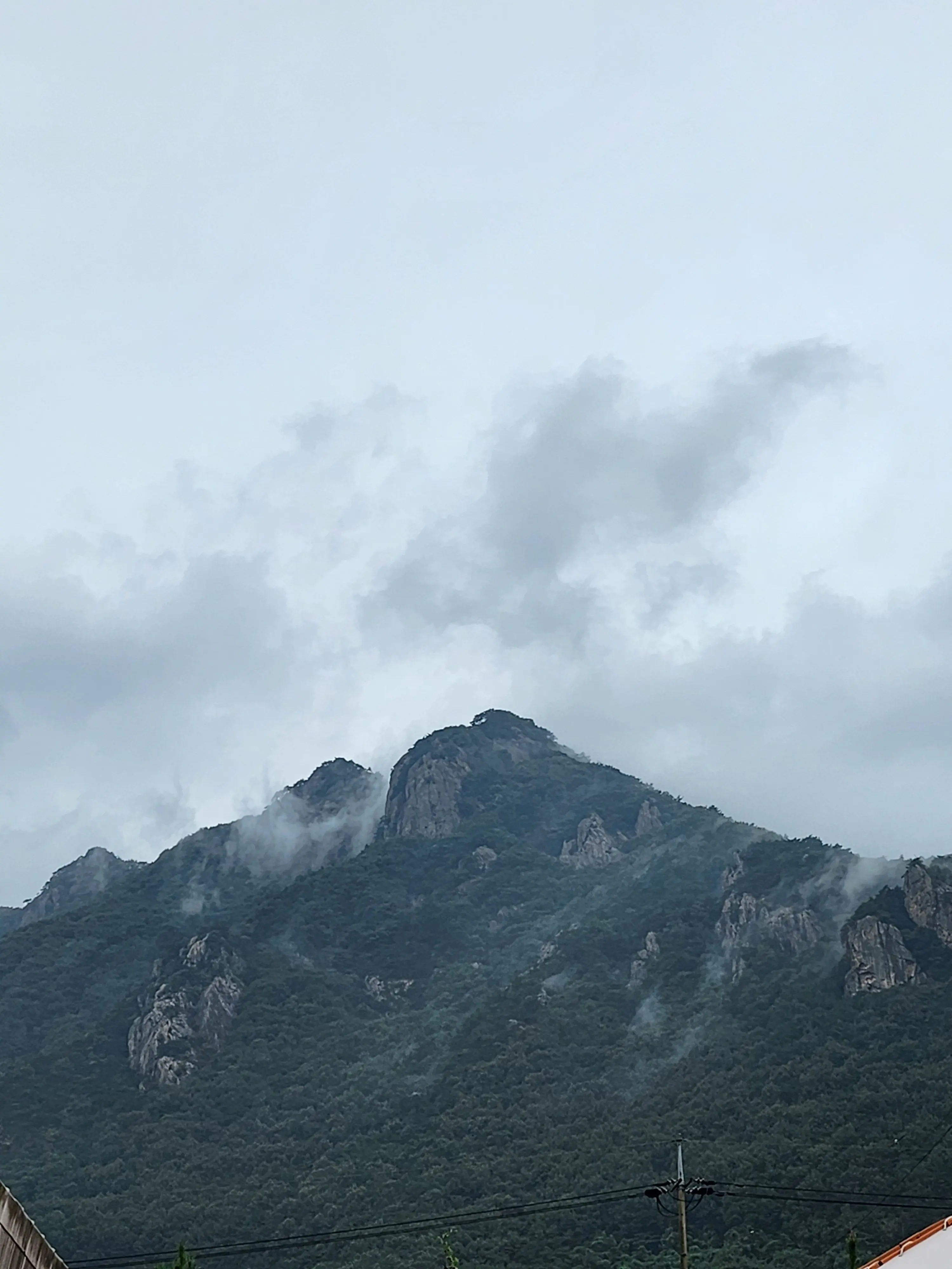 HungryCopy7467의 아이브엔믹스와 한 갚옥의 갇혔다