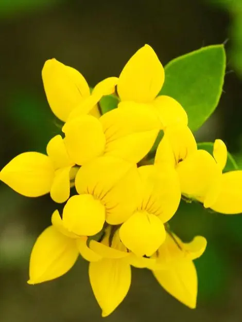 seagull.it.me의 0423