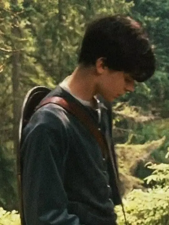 guiltyas.sin의 • narnia x modern world ⋆˙⟡ —