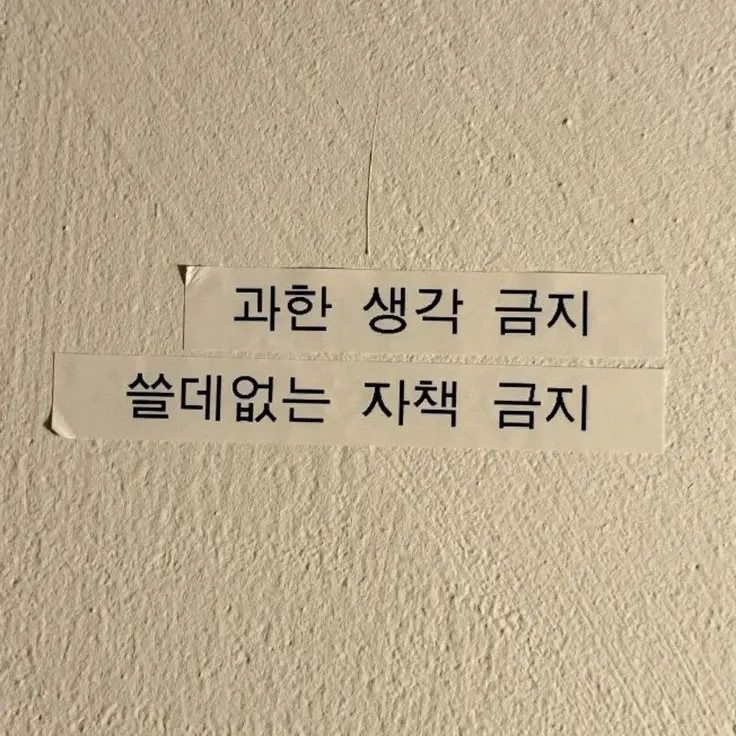 dear1ove의 주인철