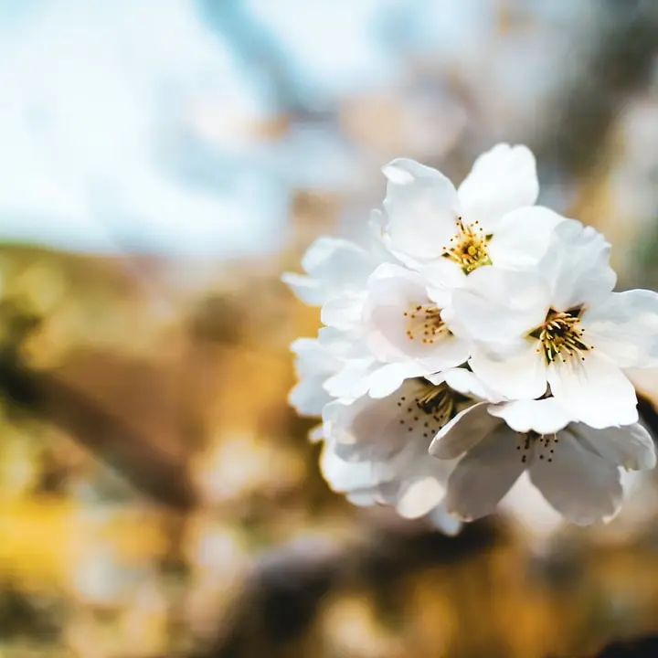 VocalDrums1865의 이구로 오바나이