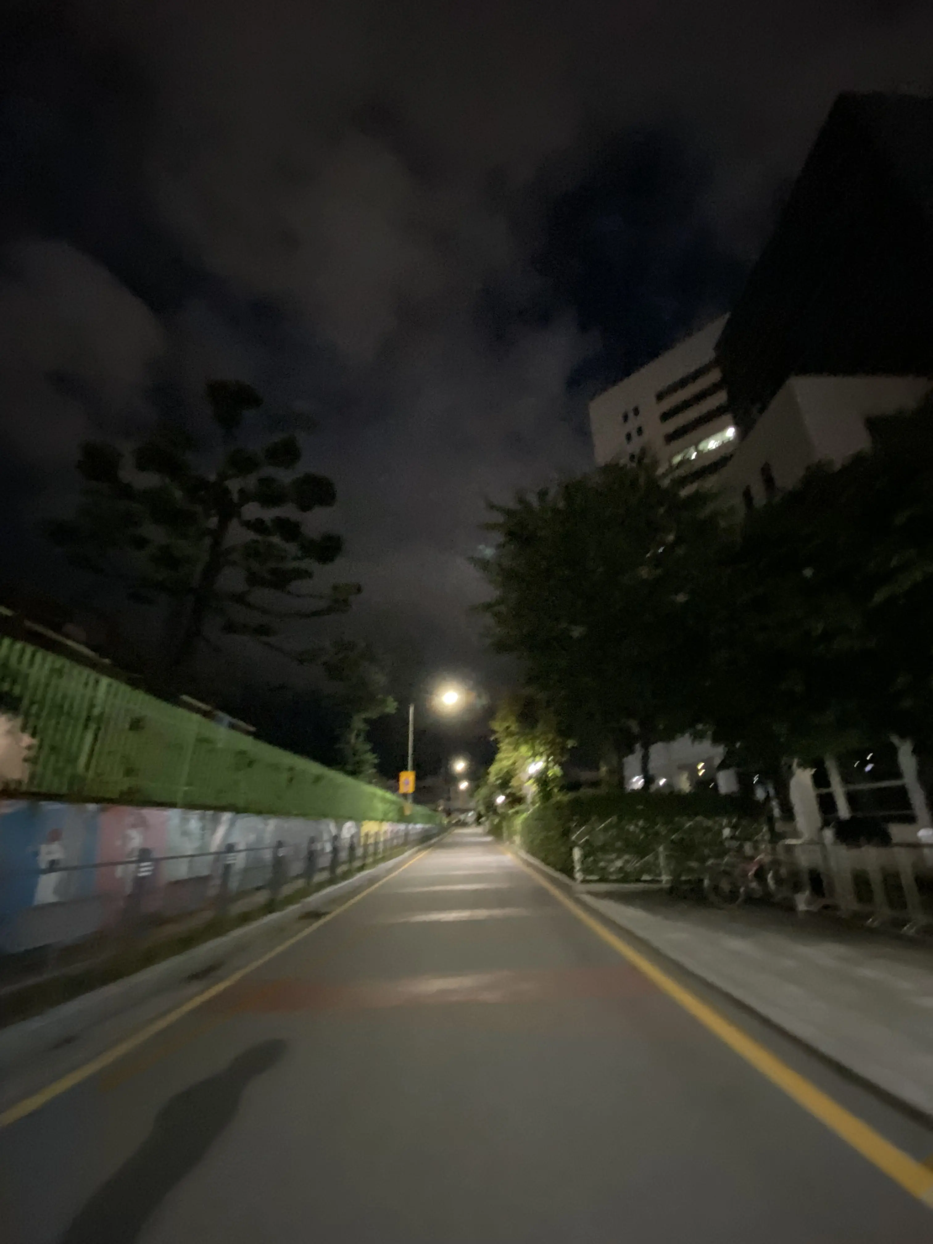 FickleFloor7745의 Because I Felt Like It!