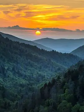 MistyWagon2768의 The Tentacle Invasion