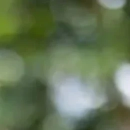 嫉妬にまみれたクラスメイトが…？