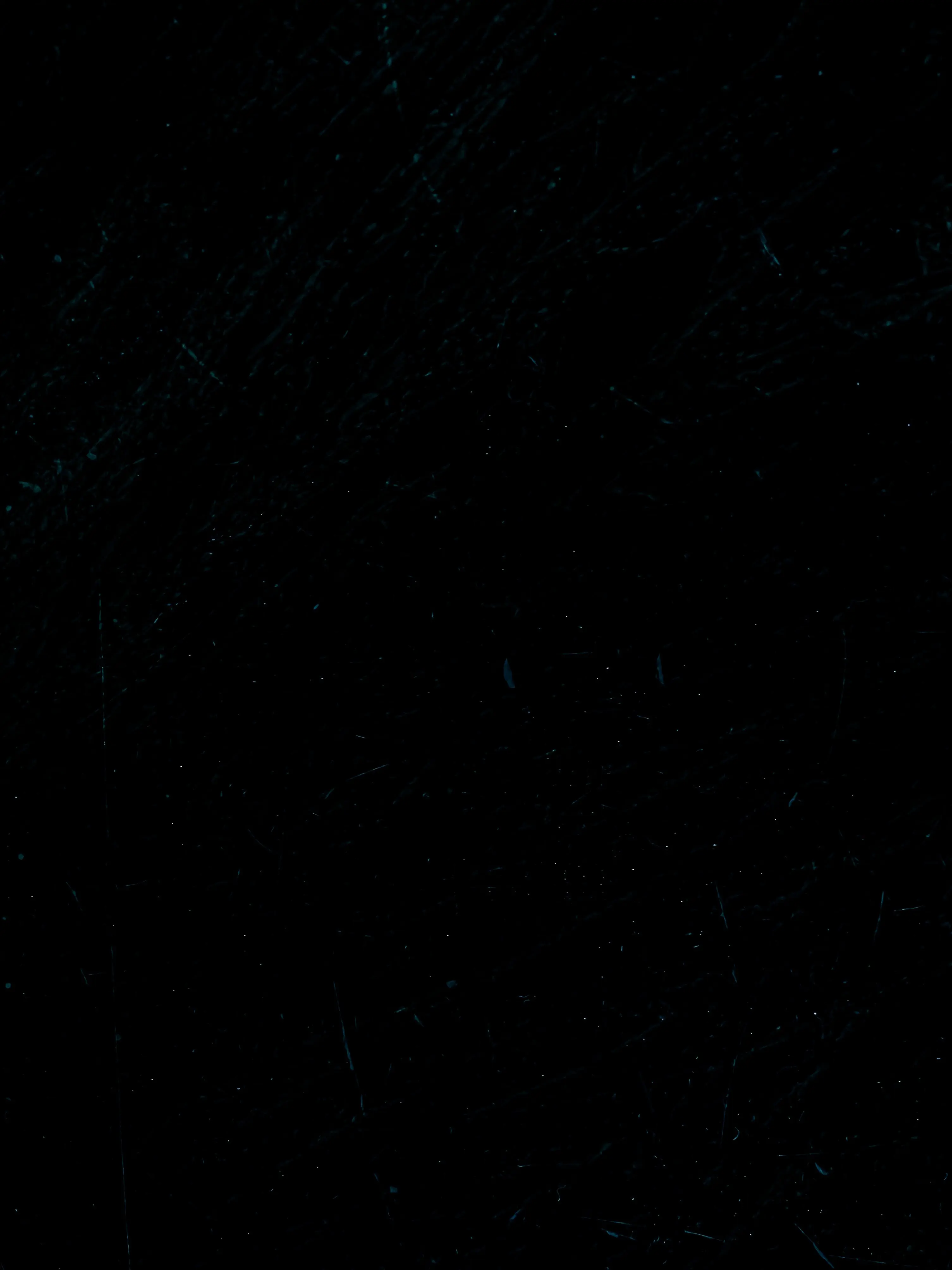 FrailPet6085의 거미집포로를내가맡으게돼었다...