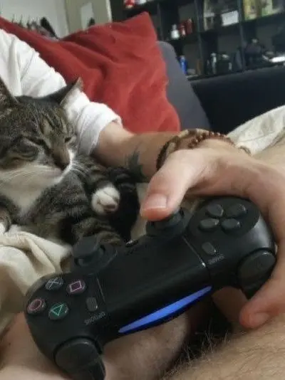 KIKIYOxSpiral의 Gamer bf