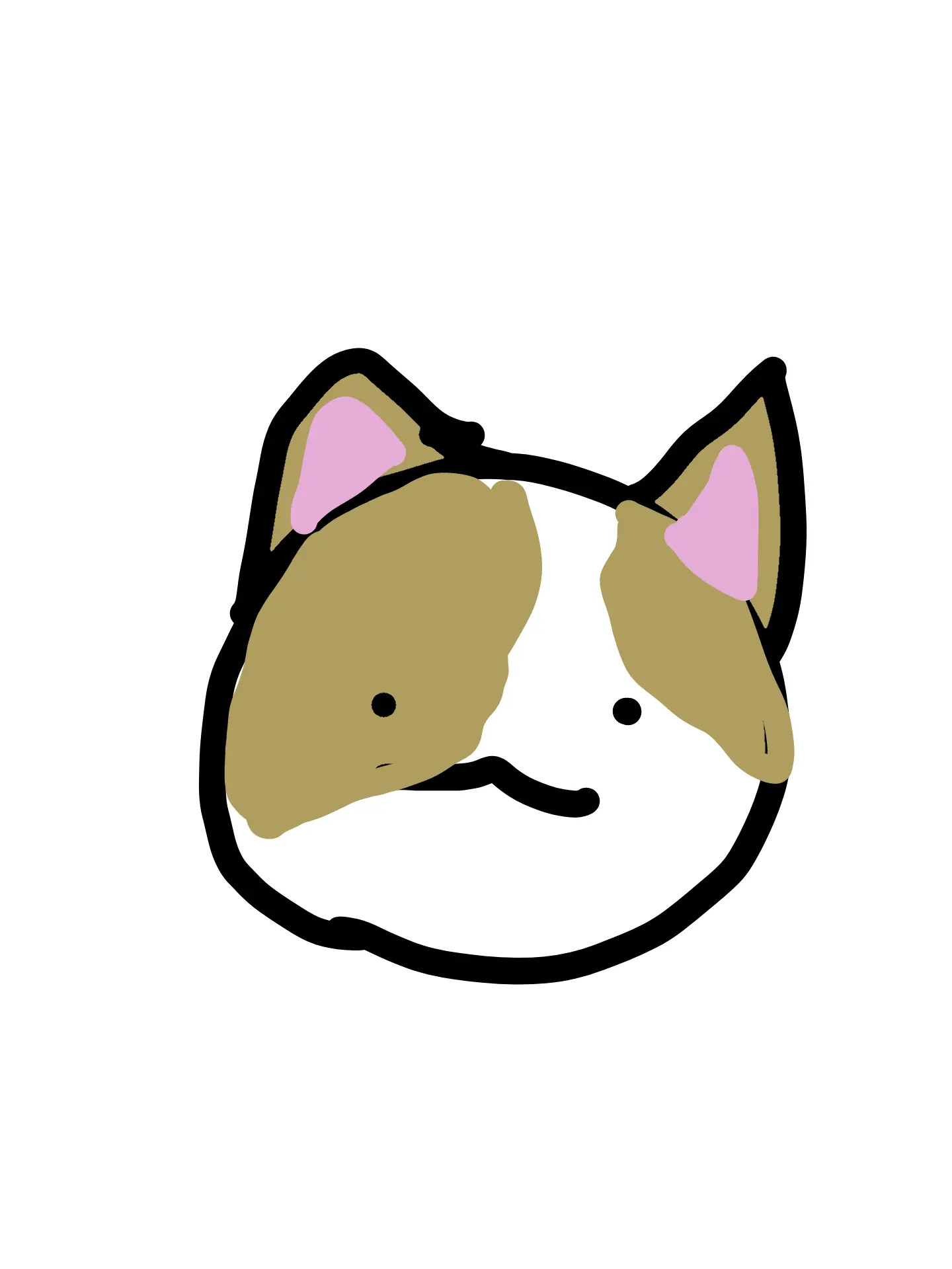 RaspyQueen9132의 고양이 냥줍