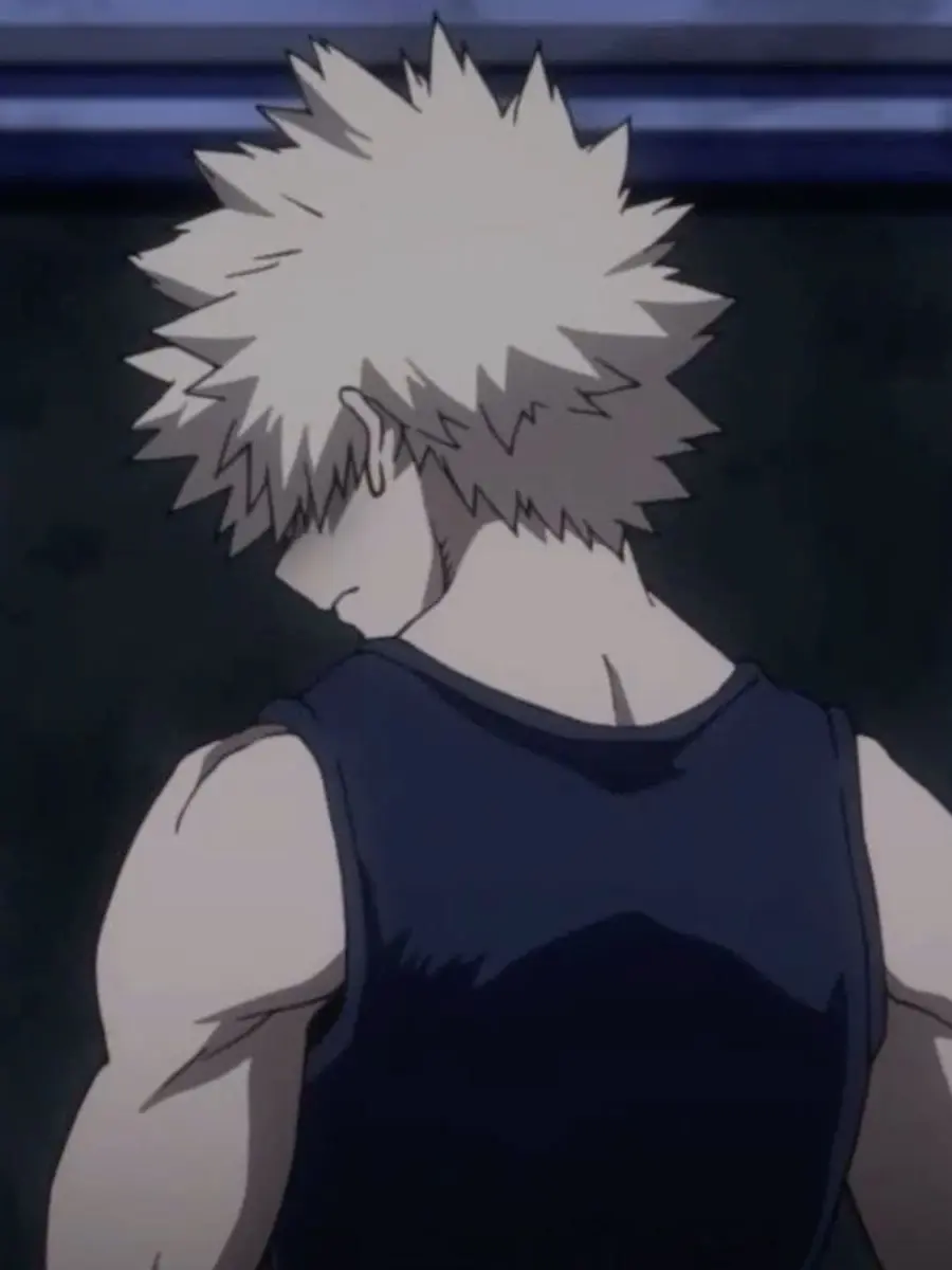 mimimi123의 Bakugou's Worst Night