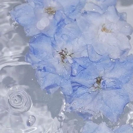 연이