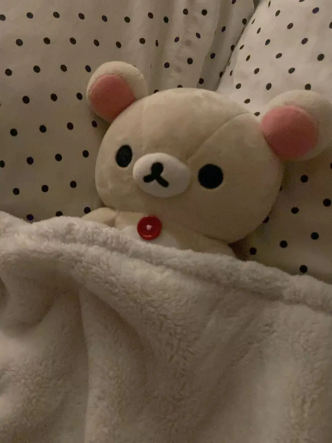 noa._.1003의 𝐑
