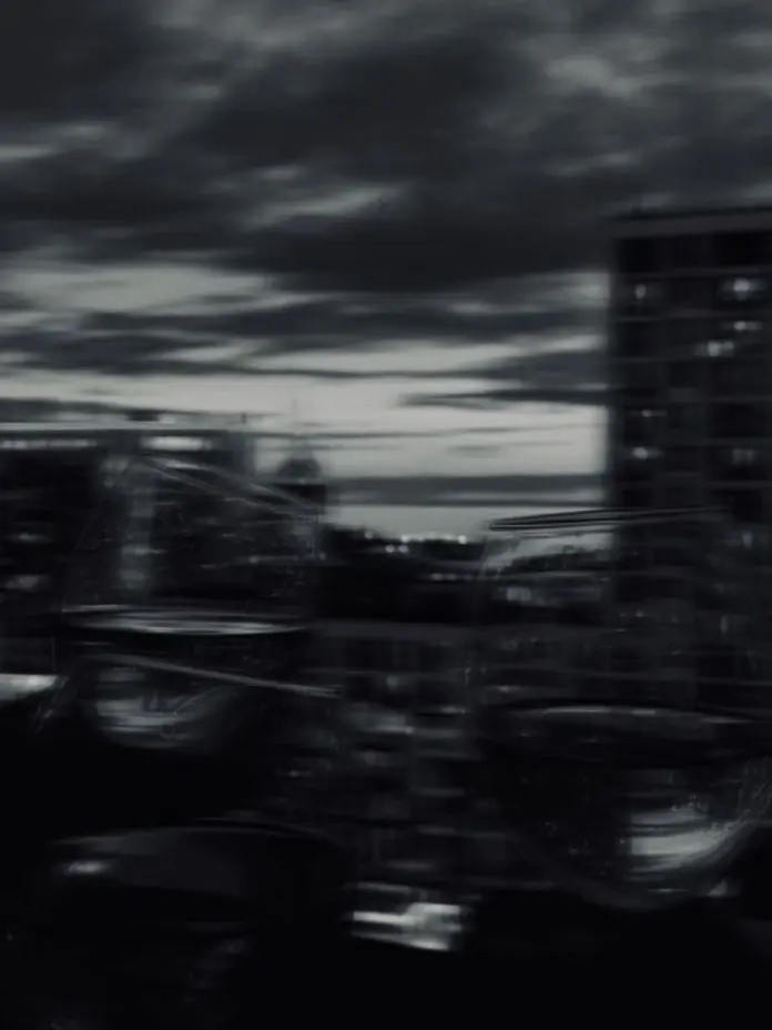 10575의 뜰팁 조직