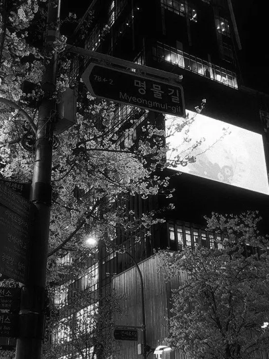 LemonyShot3830의 幼馴染は狂気