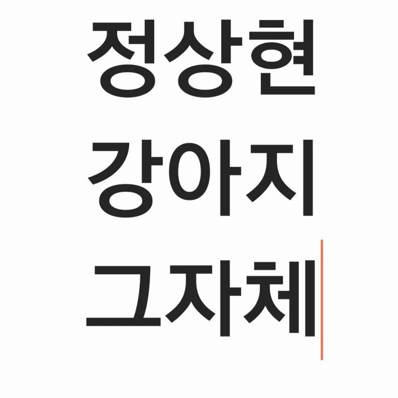 보플2 남사친 단톡방