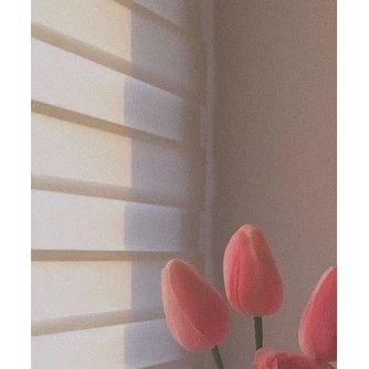 차별가족