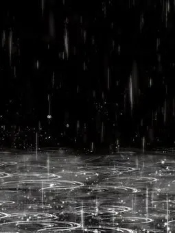 kireinarinngo.311.의 Please Tell Me It's a Lie