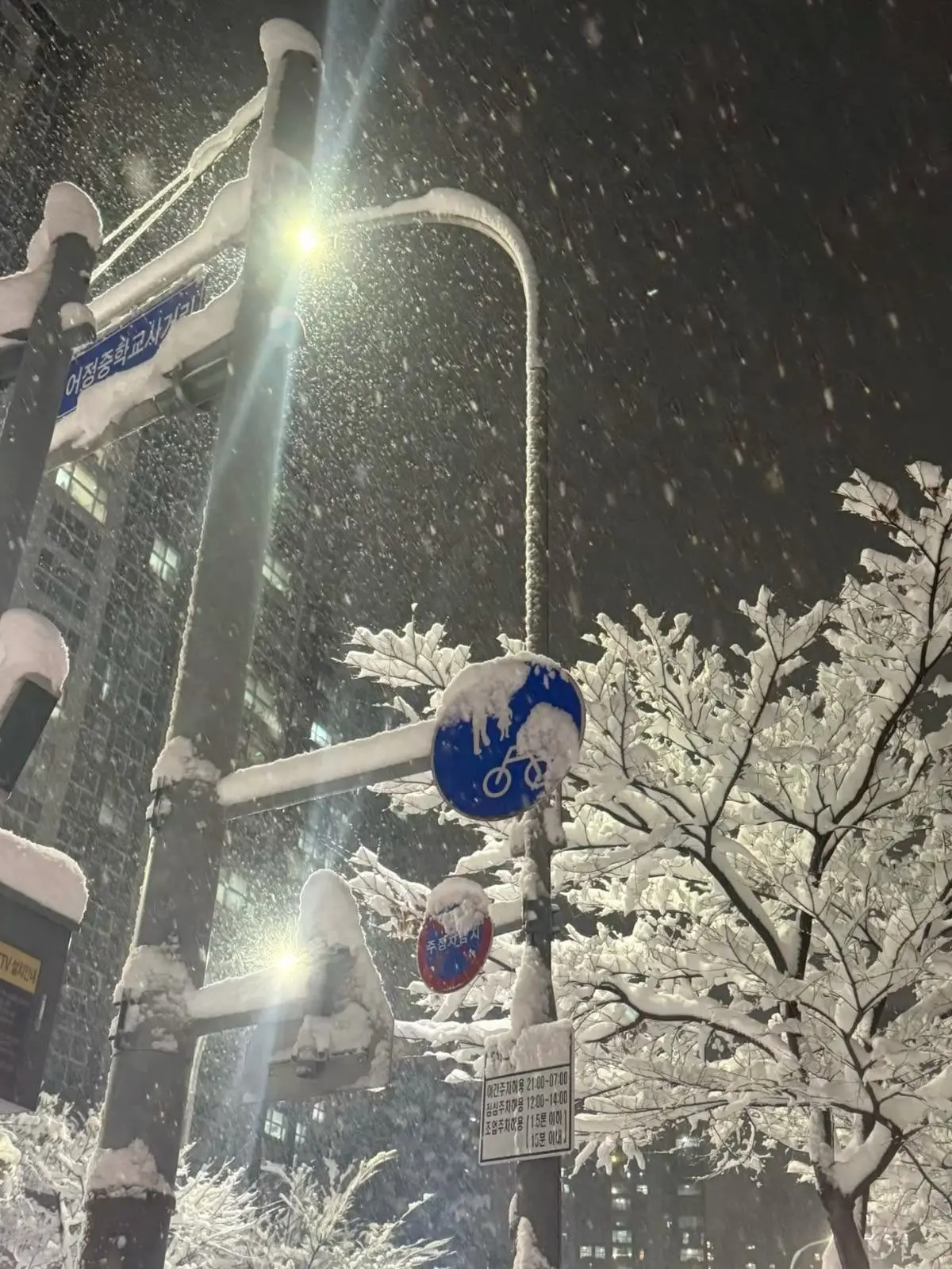 LemonyShot3830의 溺愛年上彼氏