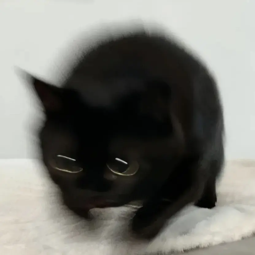 SUKTISBM3의 《02》