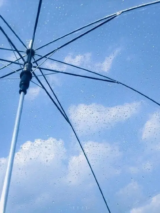 vofje_08kd.ltm의 패러다이스