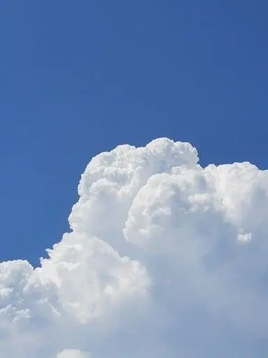 DryKagu2717의 세계관 최강자들이랑 여행을 가라고요?