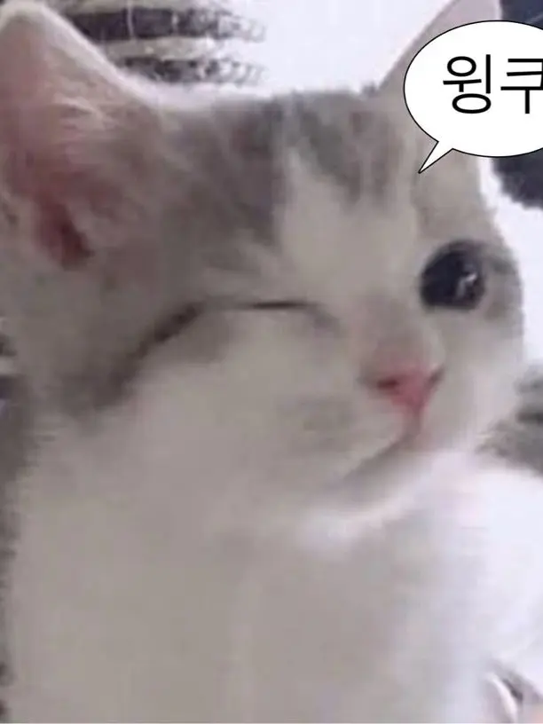 Stay_For_ZB1의 심쿵! 커플 브레이커