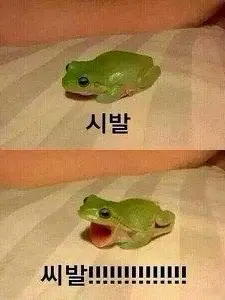 7HOI0703의 계급학교