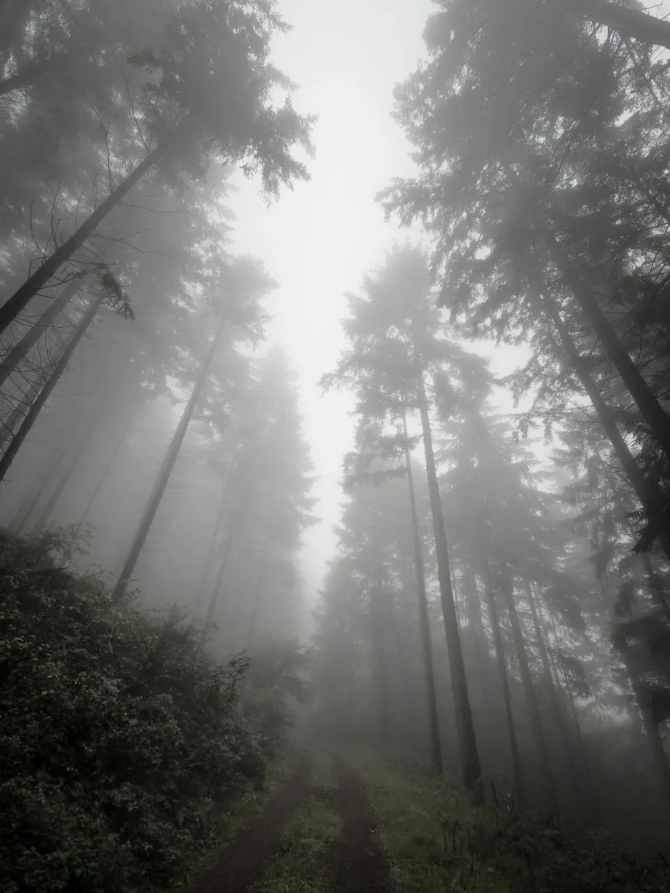 nrmgongjang의 착한 아이.