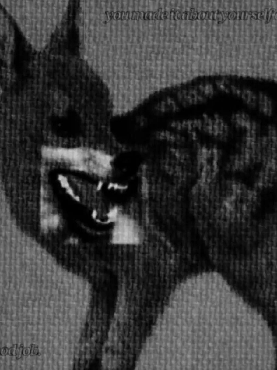THATpuppyboyz의 ⋆✴︎˚｡⋆ Toxic Ex⋆ 𖤓 ⋆˚࿔
