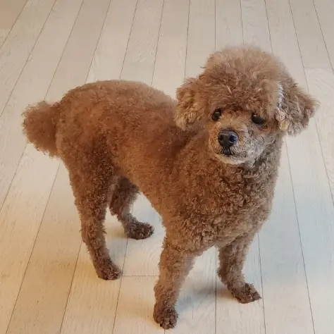 MildHose6464의 트롤단!