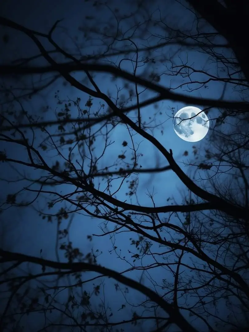 Pome_ranian의 お金借りに行ったら皆元彼だった