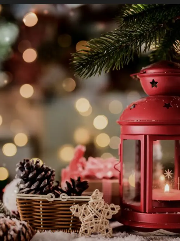 Oreo0101의 장난감