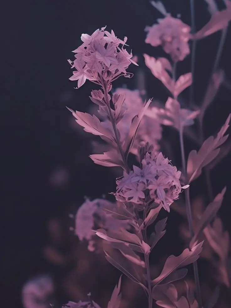 BossyCopy4345의 確定ファンサくれたらI Love You