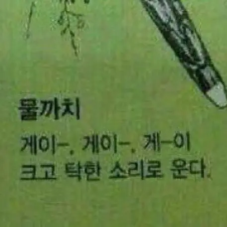 Oh_Ing의 블러드,씨더