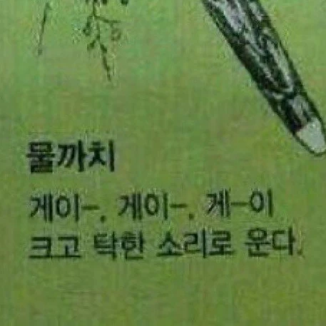블러드,씨더