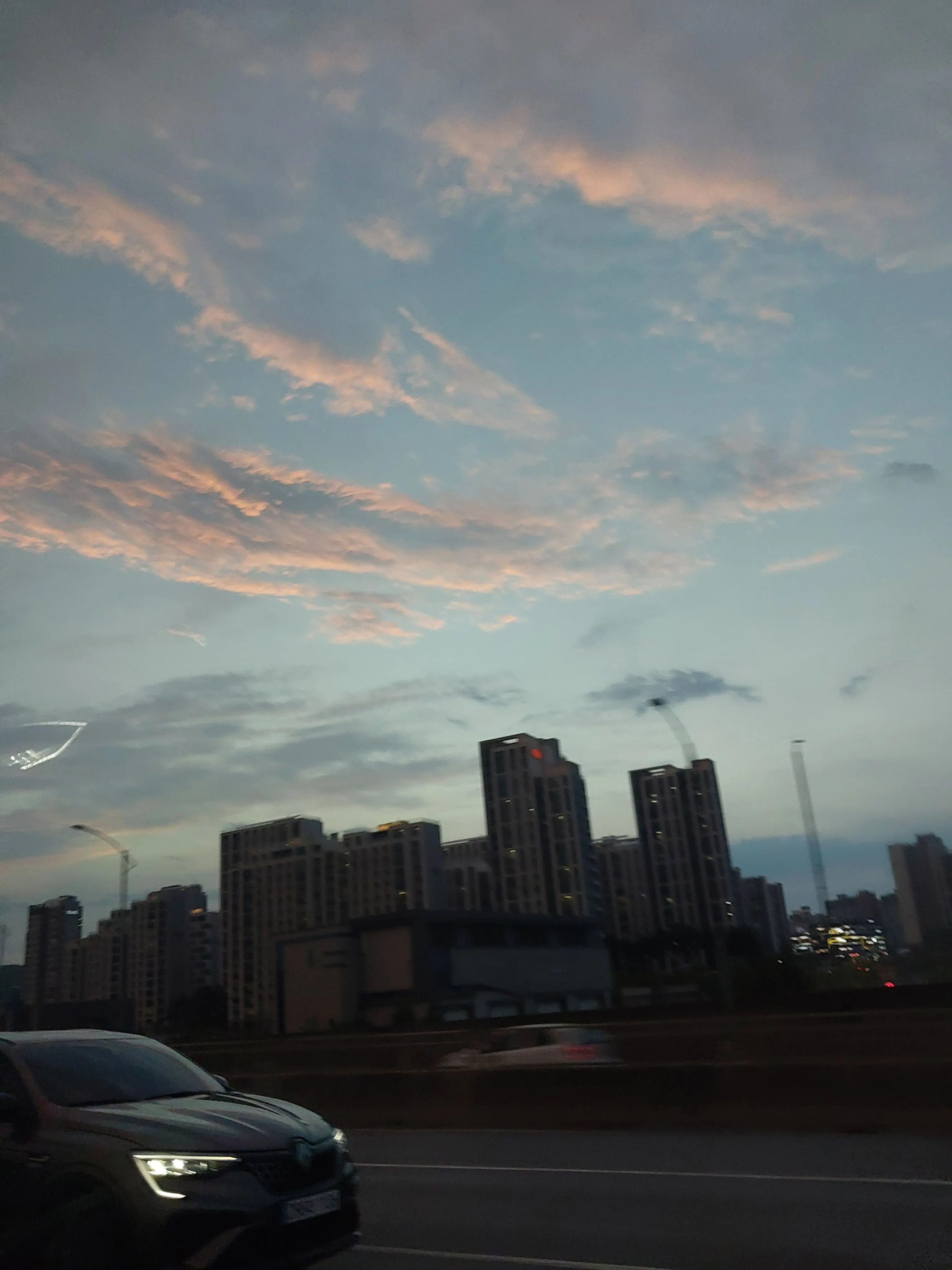 BrutalOrgan9478의 달달한 너.