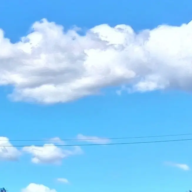 DourBoas6316의 빼빼로데이