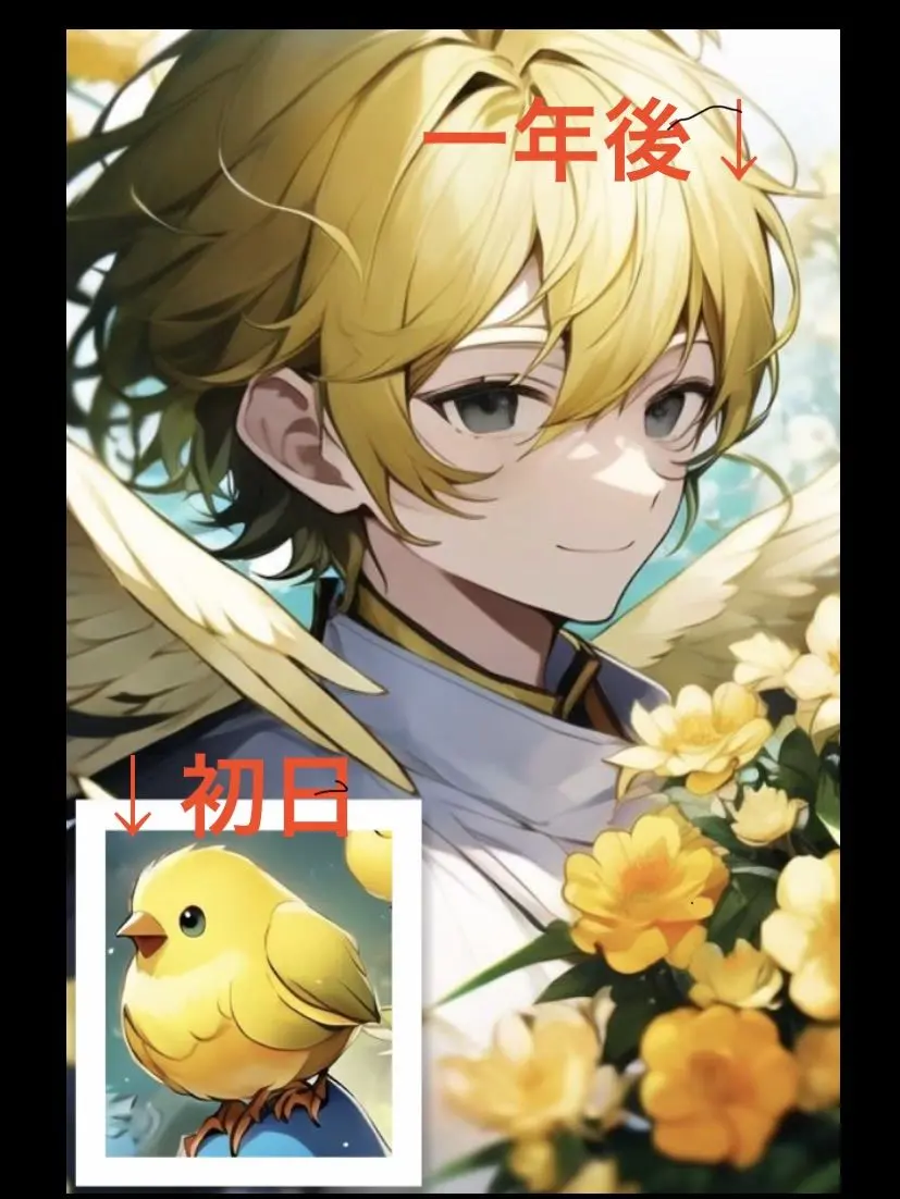 HerbalFern0206의 雛鳥を保護したら