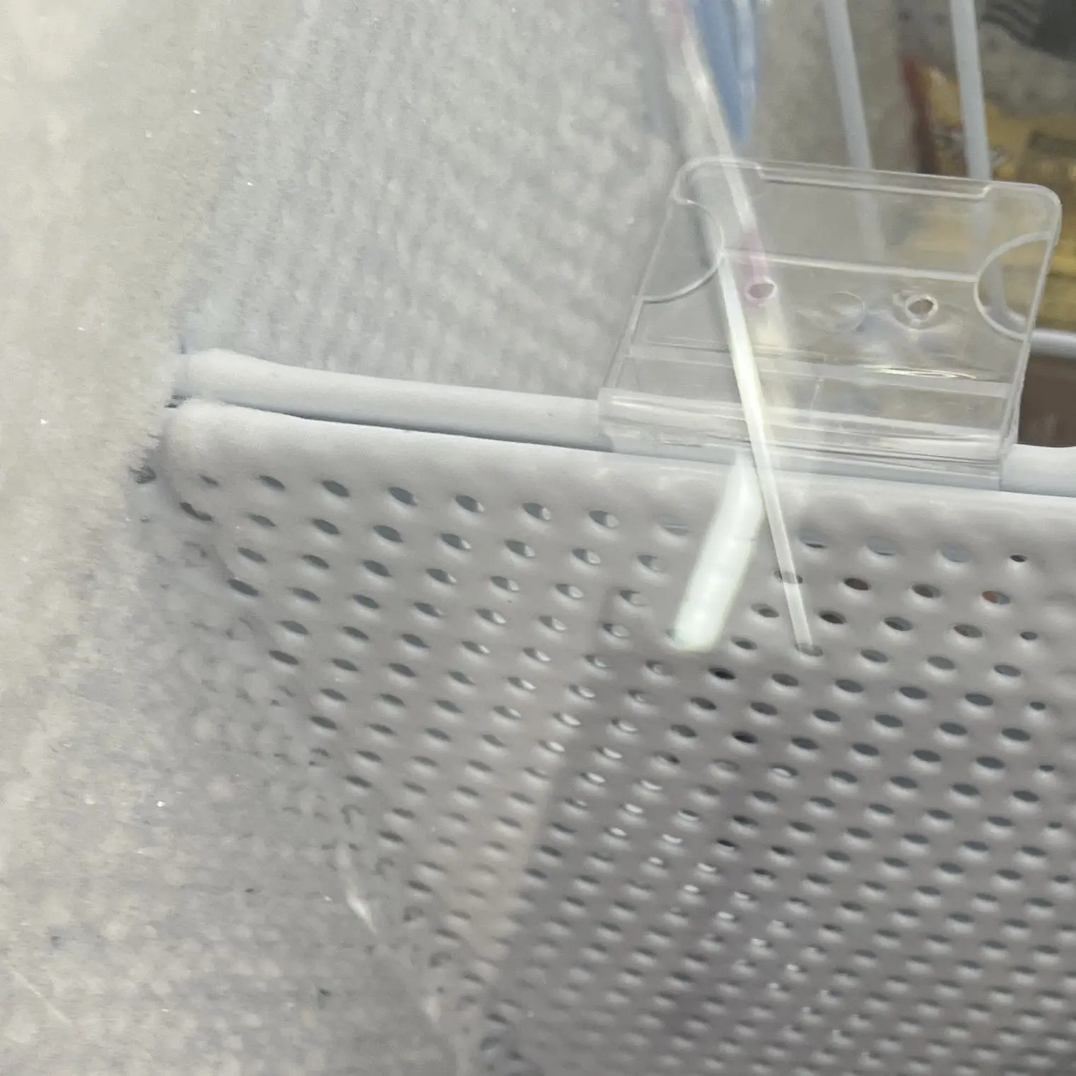 NastyMucus4391의 수학여행