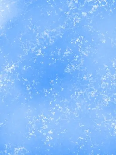 RigidSnake4856의 미수반