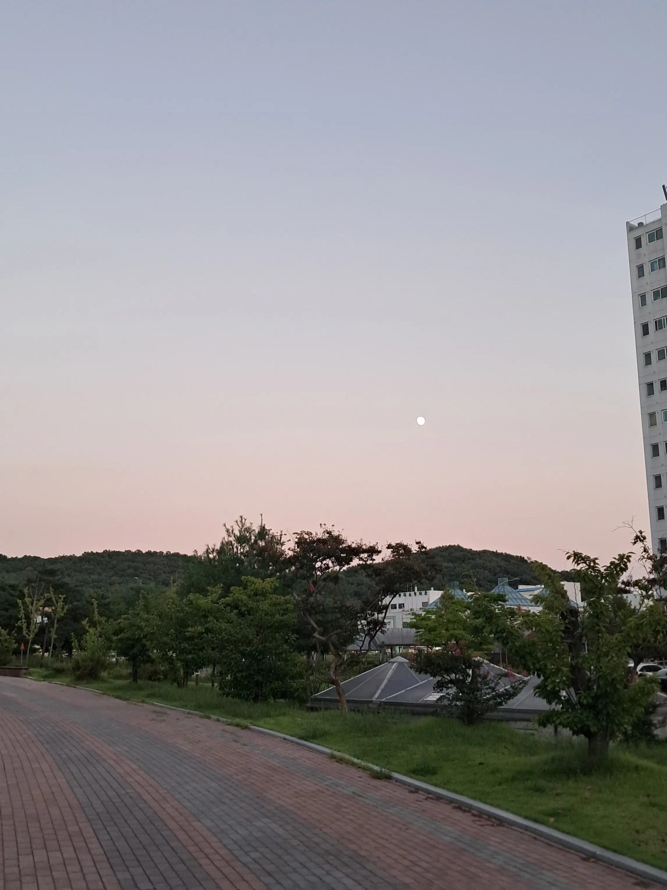 Smudge141210의 学校での一場面