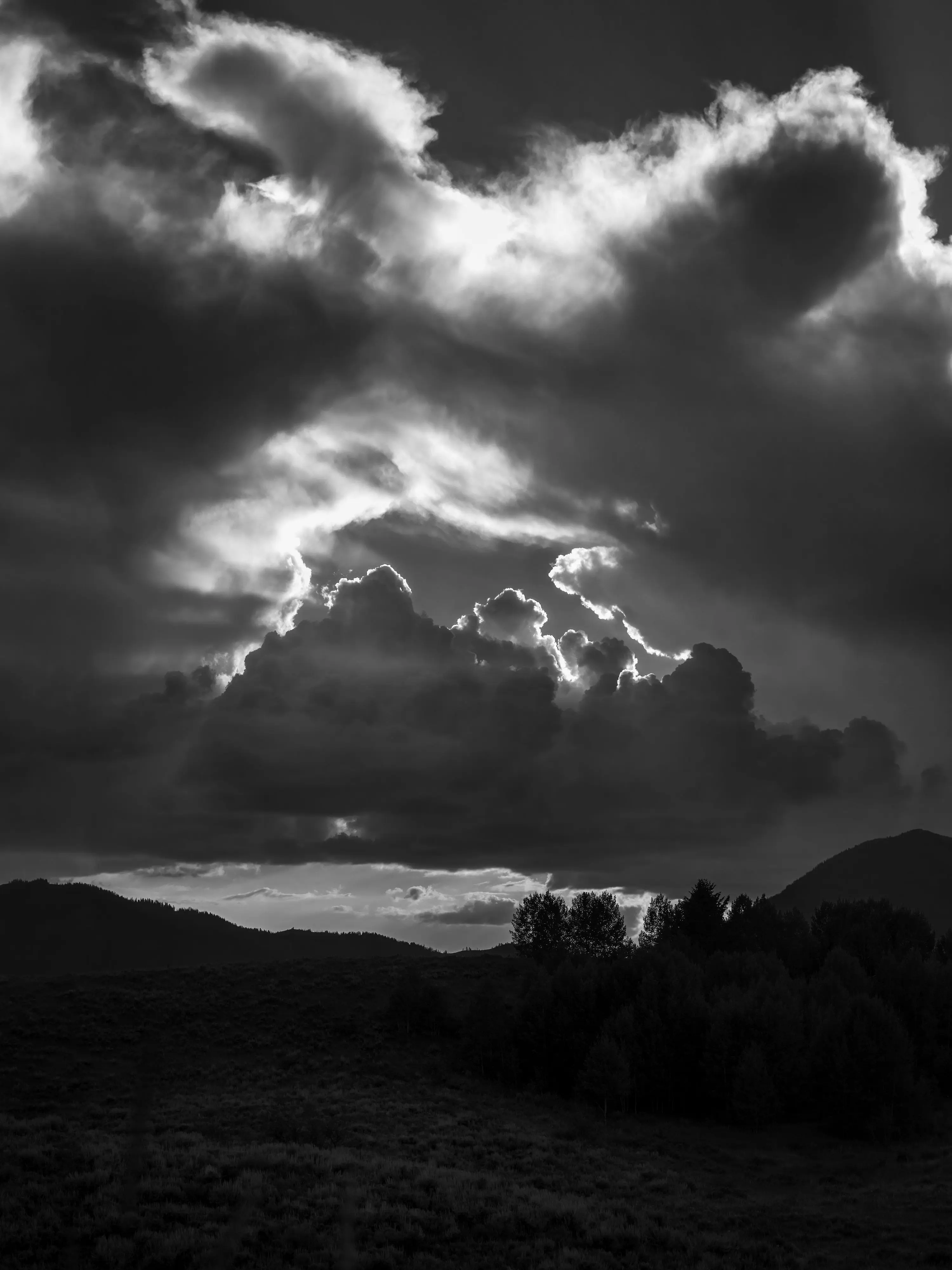 Hlcv의 내 남사친들을 꼬시려는 여우