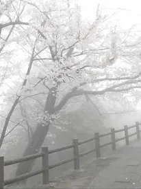 WISH__0922의 鈍感な君だから