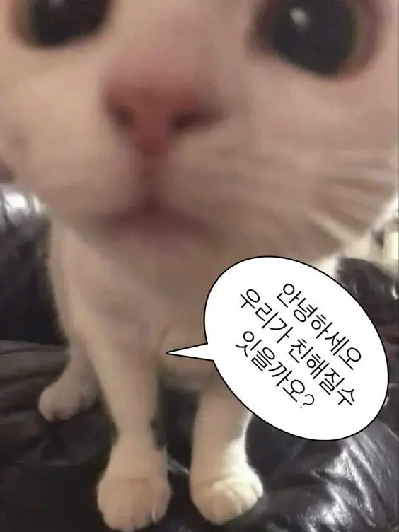 Rename의 블록테일즈에서 유저가 죽었다?!?!?
