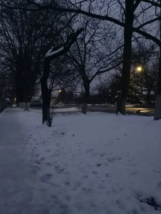 snow-leopard19의 JJK group sleepover