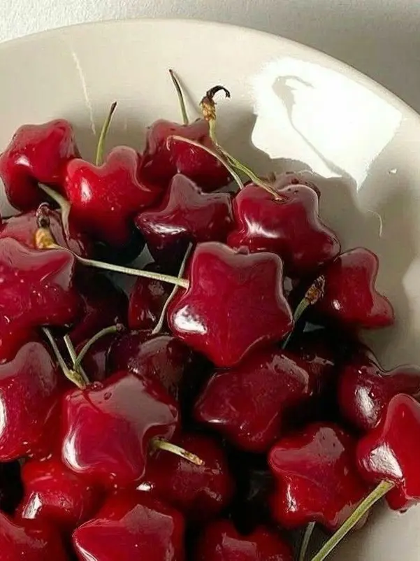 IdleBeago4439의 김태현